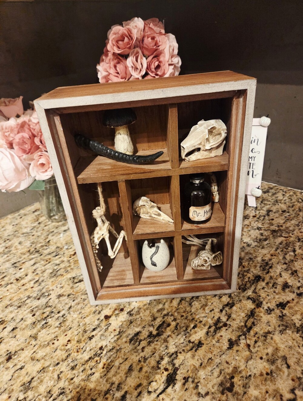 Little Cabinet Of Horrors